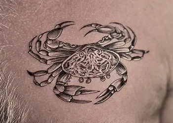 tattoo pricing - 20cm